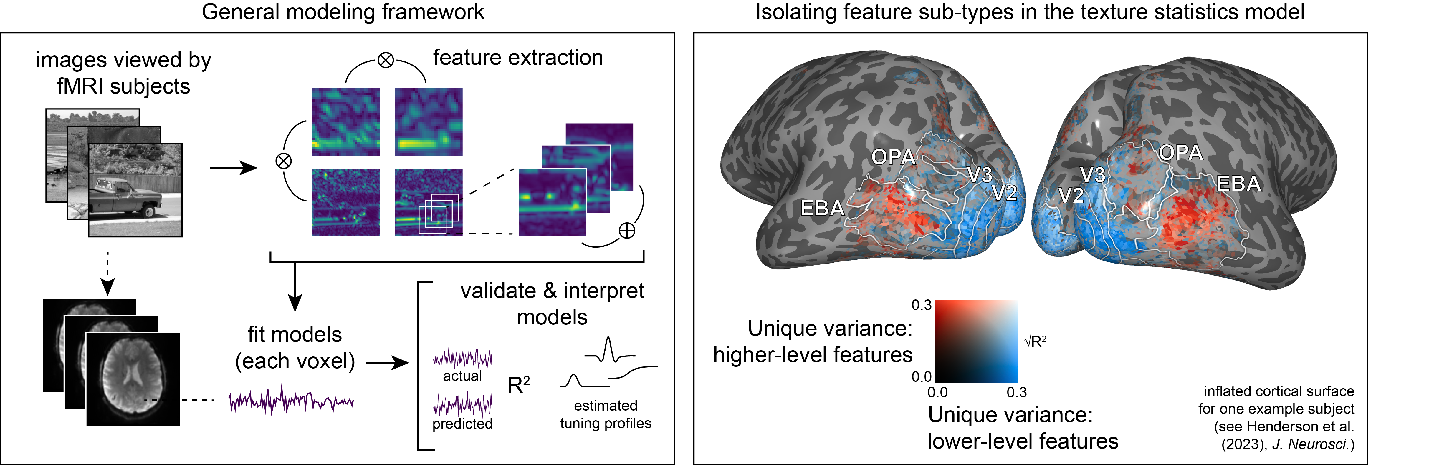 Schematic of an fMRI encoding model based on texture statistics features.